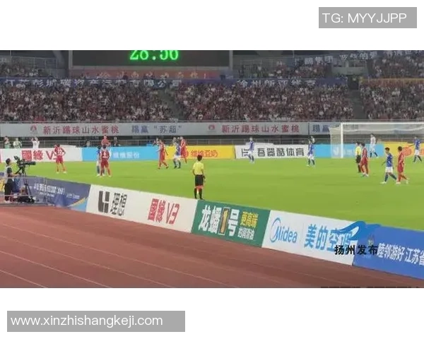 南京足球队的拼搏之路与荣耀时刻全景回顾